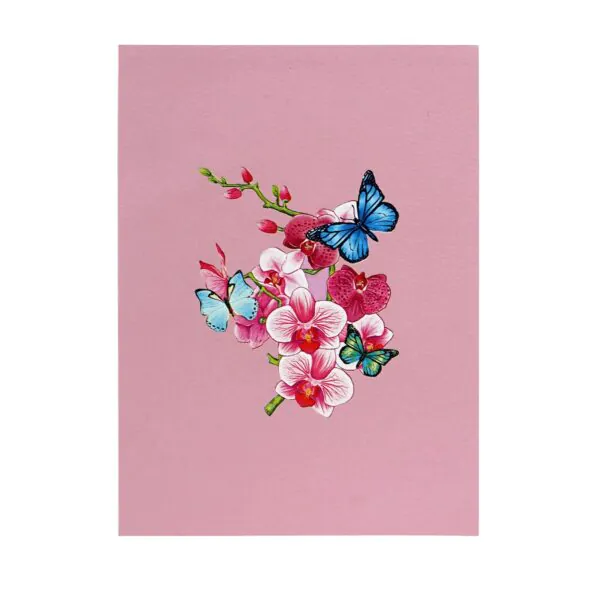 3D Přání - Orchidej a motýly