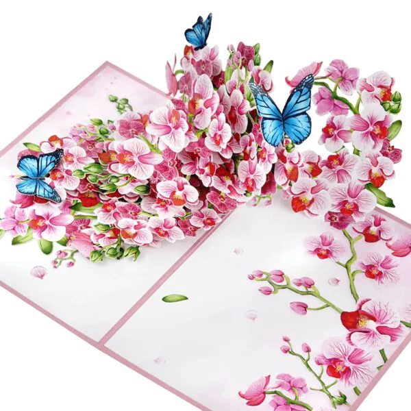 3D Přání - Orchidej a motýly