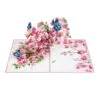 3D Přání - Orchidej a motýly