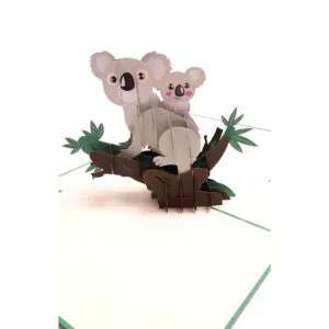 3D Přání - Koala