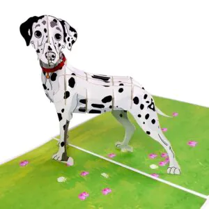 3D Přání - Dalmatin