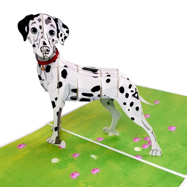 3D Přání - Dalmatin