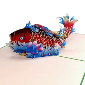 3D Přání - Kapr