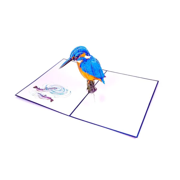 3D Přání - Ledňáček