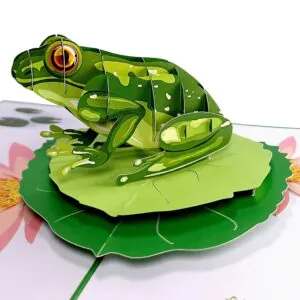 3D Přání - Žába